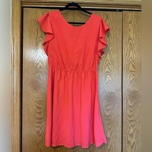 NWT Pink Ruffle Sleeve Dress